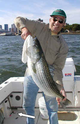 Joe chas rig.JPG (43303 bytes)