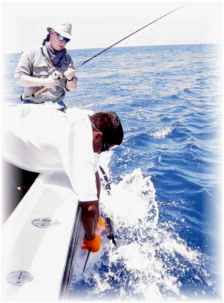 Costa Rica chas at boat edge.gif (120647 bytes)