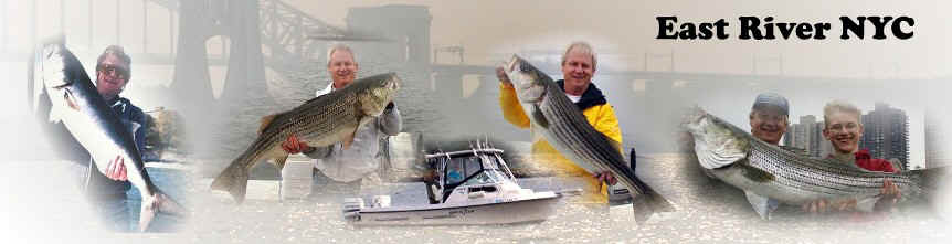 East River NYC web.jpg (60043 bytes)
