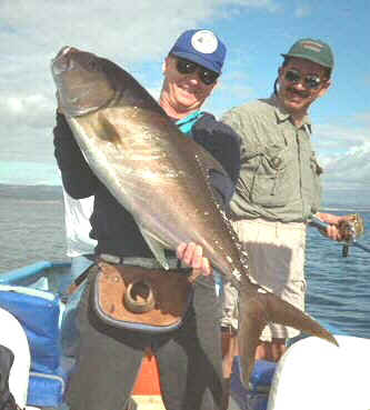 amberjack2.jpg (37536 bytes)
