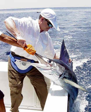 web nick sail close.jpg (51704 bytes)